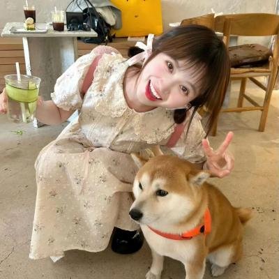 犯罪生涯