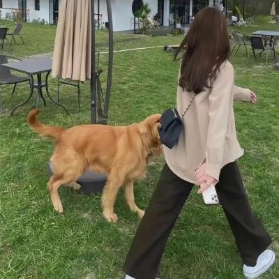 意外杀手